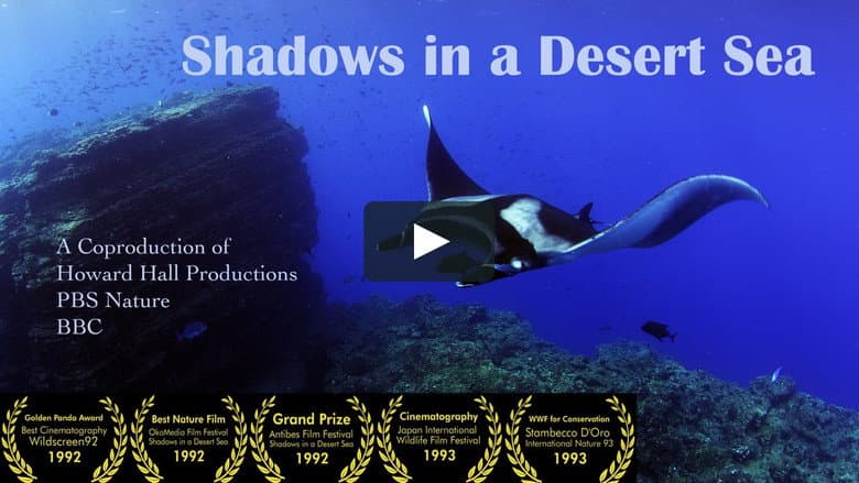 Backdrop from Shadows in a Desert Sea