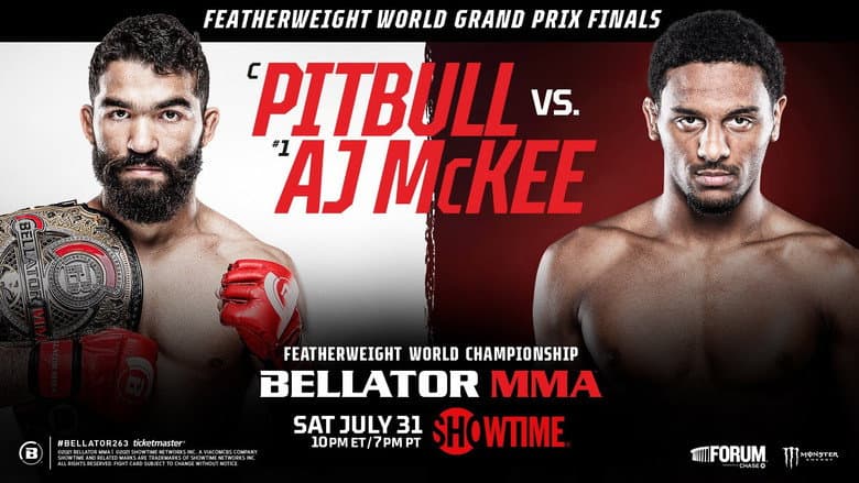 Backdrop from Bellator 263: Pitbull vs. McKee
