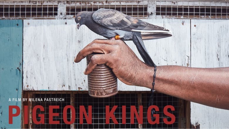 Backdrop from Pigeon Kings