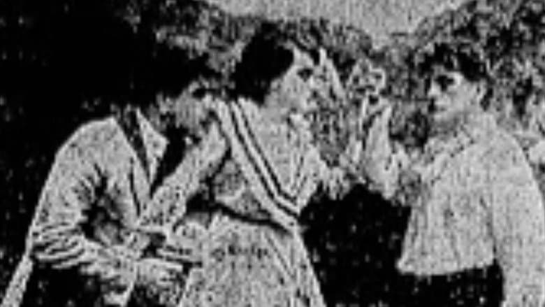 Backdrop from Alma Sertaneja