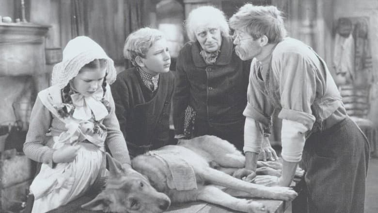 Backdrop from A Dog of Flanders