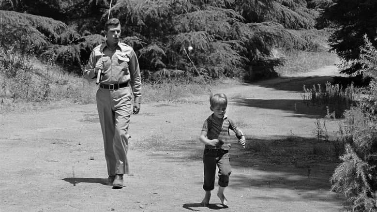 Backdrop from The Andy Griffith Show