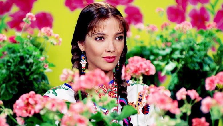 Backdrop from María Isabel