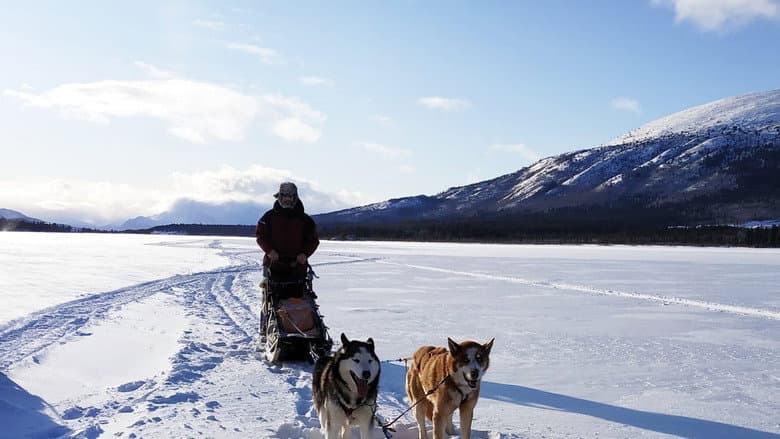 Backdrop from The Call of the Far North