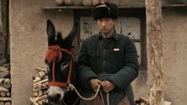 Backdrop from A Tale of Two Donkeys