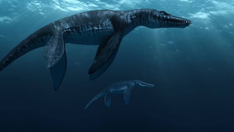 Backdrop from Sea Rex 3D: Journey to a Prehistoric World