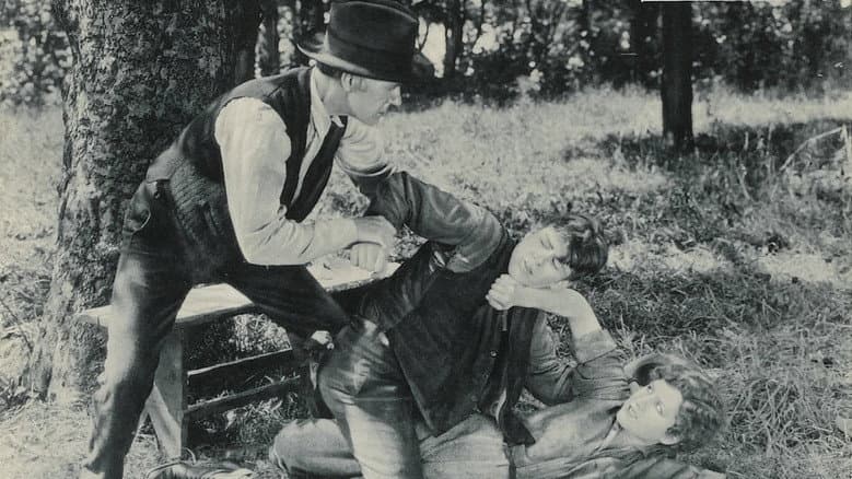 Backdrop from The Trail of the Law