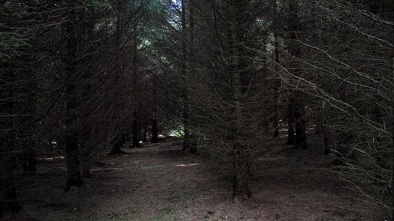 Backdrop from Dark Realm