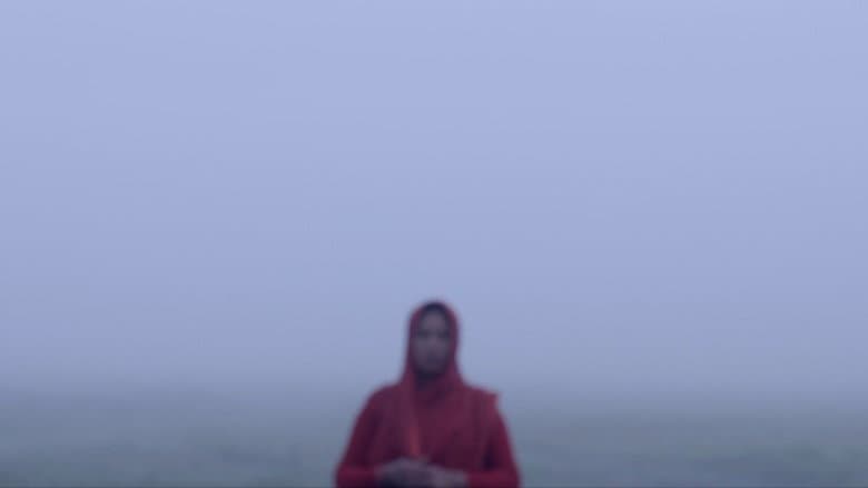 Backdrop from Song of Clouds