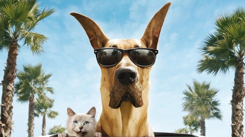 Backdrop from Marmaduke