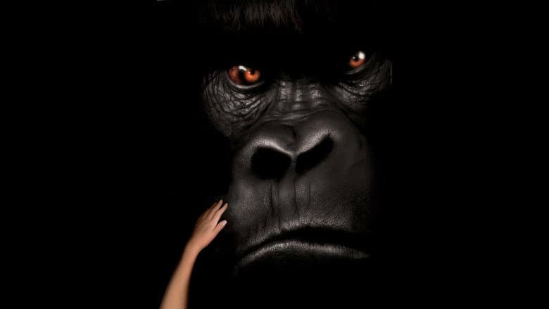 Backdrop from Mighty Joe Young