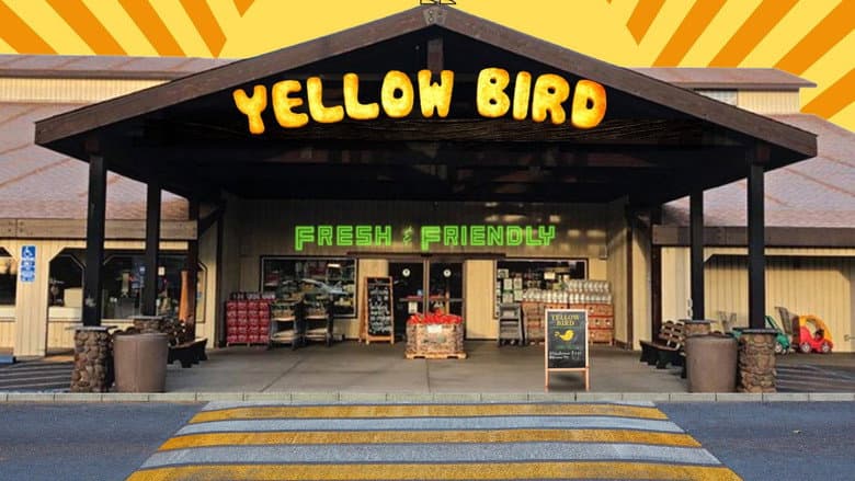 Backdrop from Yellow Bird