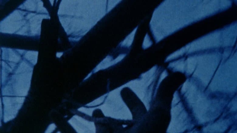 Backdrop from Anticipation of the Night
