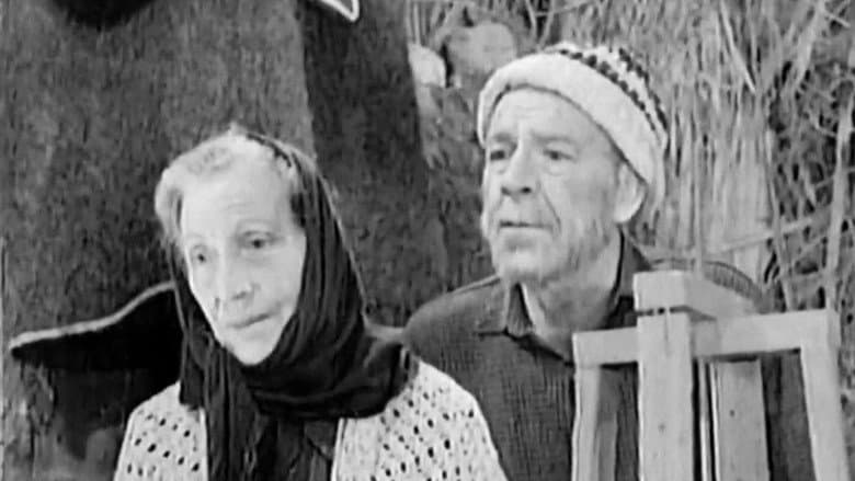 Backdrop from Confession of a Mother