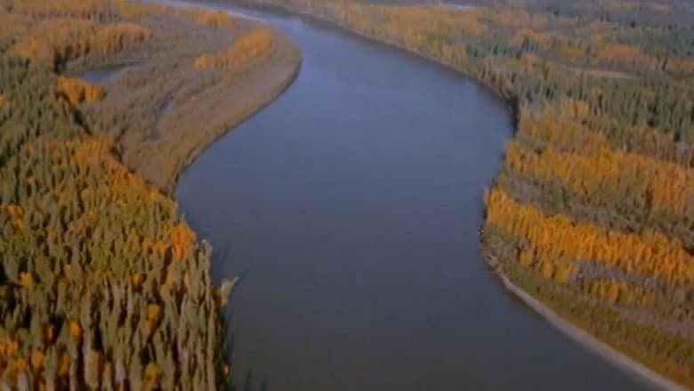 Backdrop from Footprints in the Delta