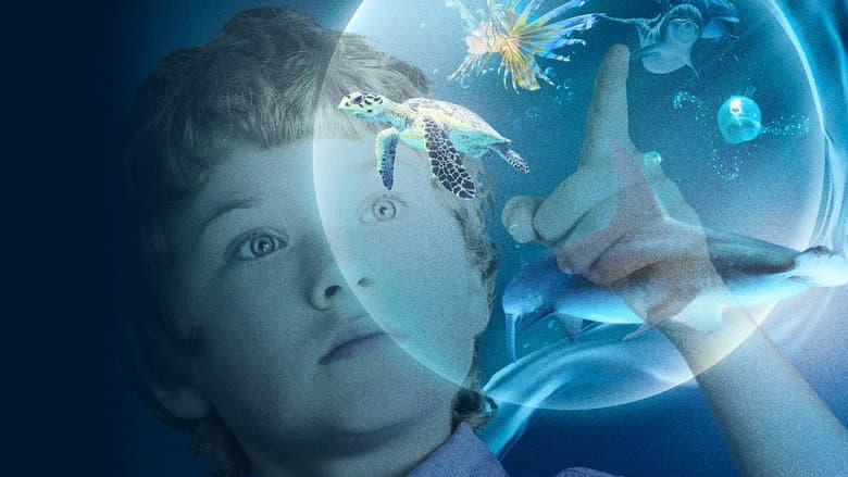Кадр із фільму «Wonders of the Sea»