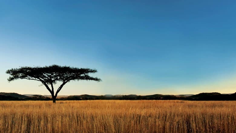 Backdrop from Nature