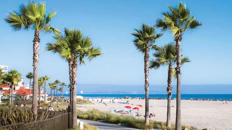Backdrop from California Dreaming – Der Zukunft einen Schritt voraus