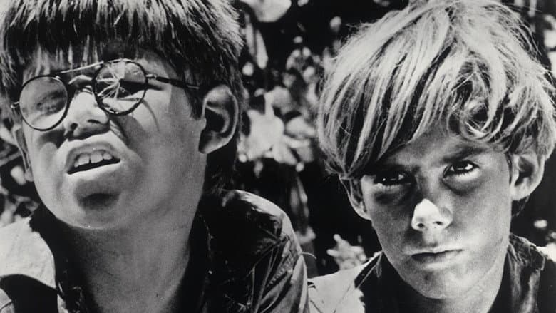 Backdrop from Lord of the Flies