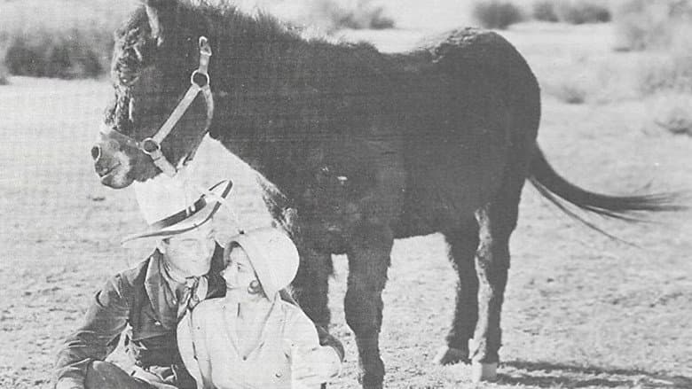 Backdrop from In Old Cheyenne