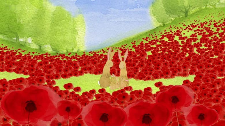 Backdrop from Poppies