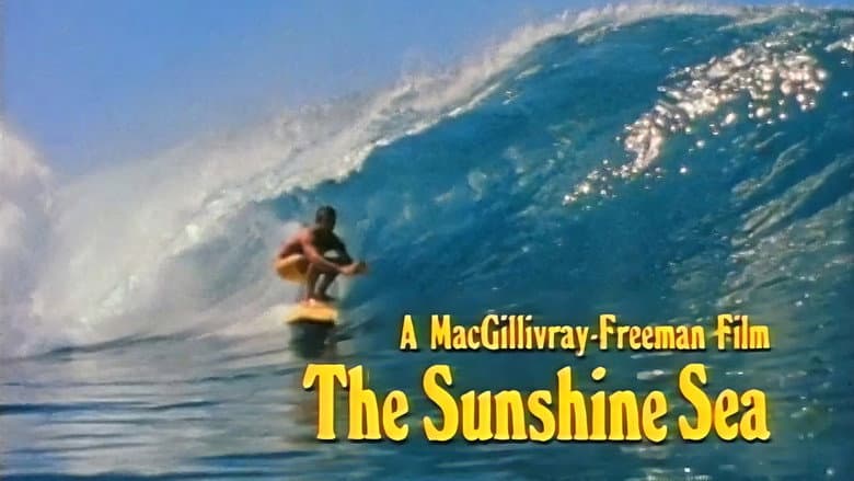 Backdrop from The Sunshine Sea