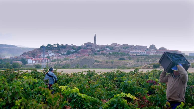 Backdrop from Rioja: The Land of a Thousand Wines
