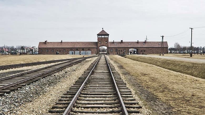 Backdrop from Auschwitz Projekt