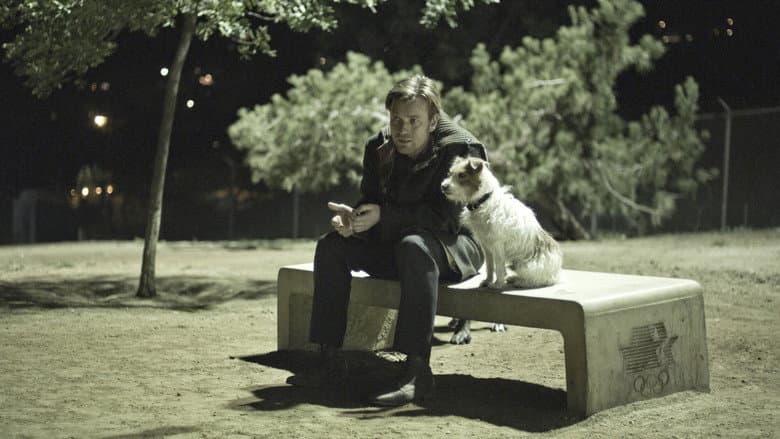Backdrop from Beginners