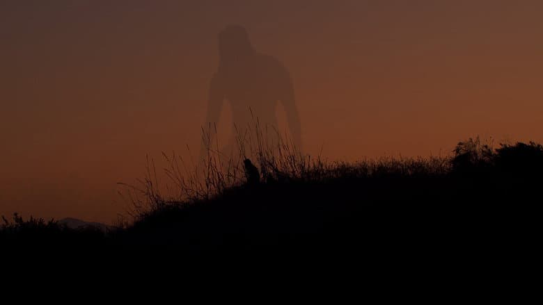 Backdrop from A World Softly Lulls
