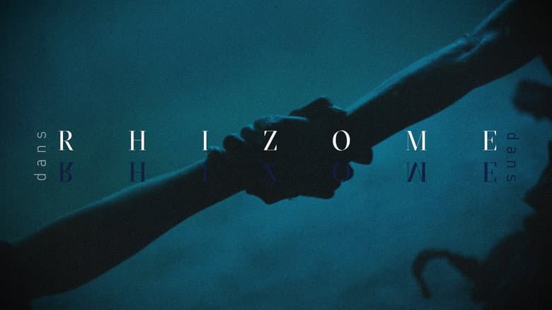 Backdrop from Rhizome