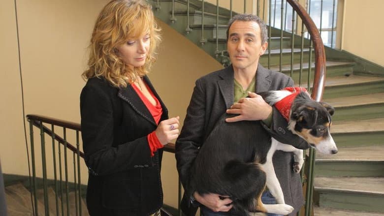Backdrop from Un divorce de chien