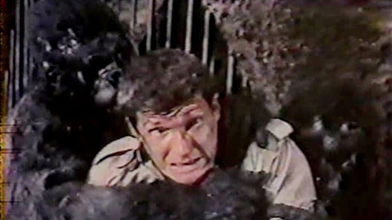 Backdrop from King of Kong Island