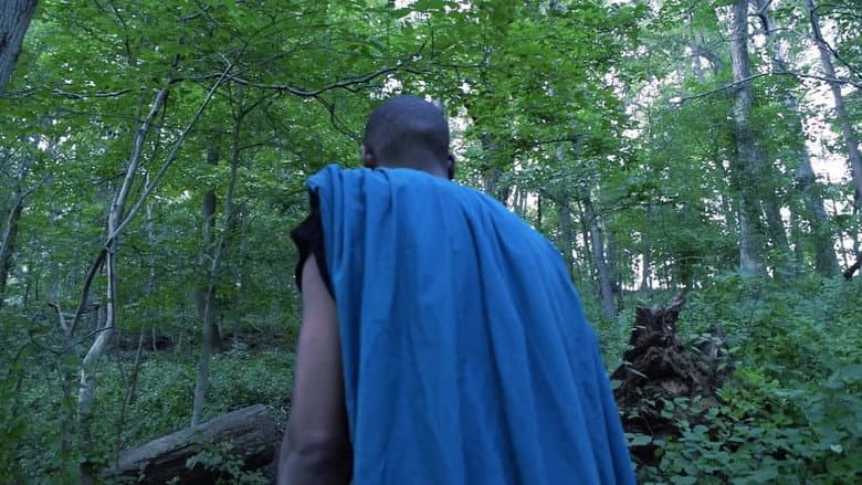 Backdrop from Troy: The Resurrection of Aeneas