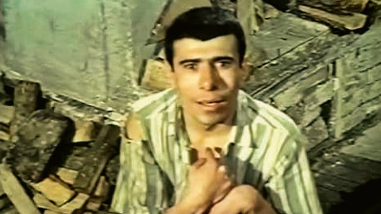 Backdrop from İbişo