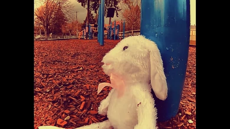 Backdrop from bunny.mp4