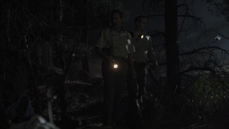 Backdrop from Visible Scars
