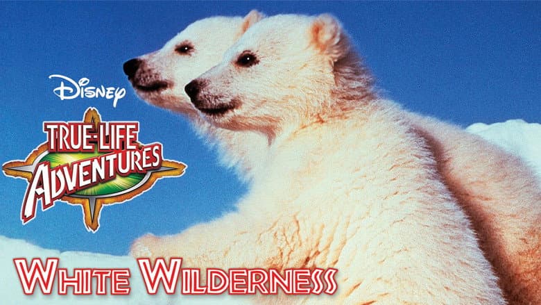 Backdrop from White Wilderness
