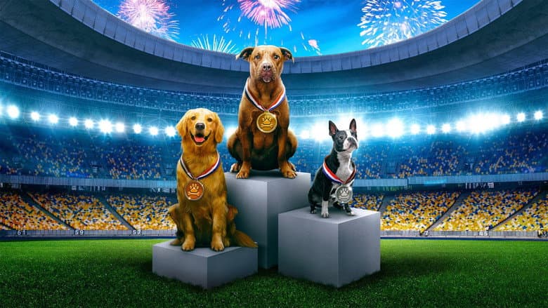 Backdrop from Puppy Bowl Presents: The Summer Games