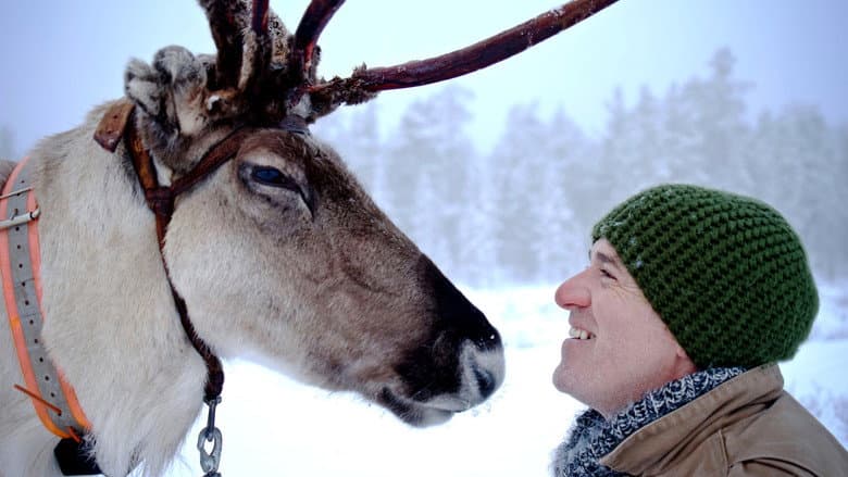 Backdrop from Reindeer Family & Me