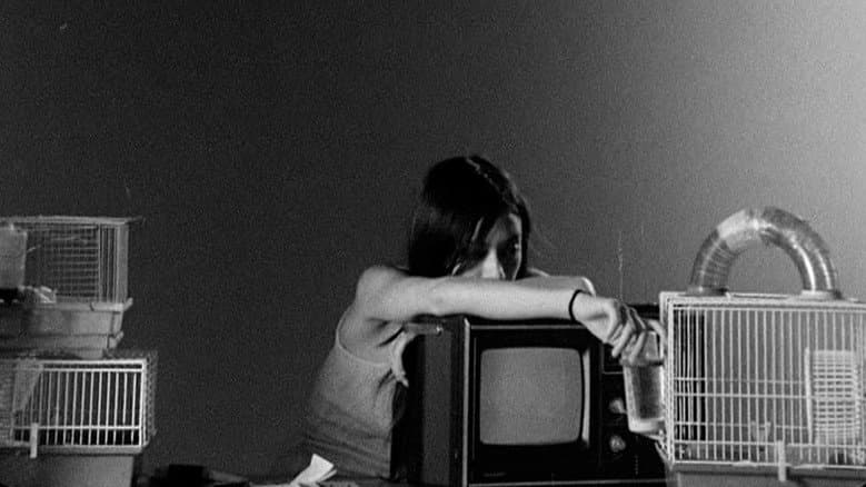 Backdrop from Letters to Paul Morrissey