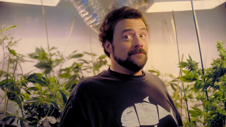 Backdrop from Hollyweed