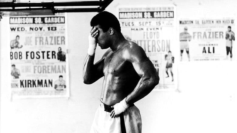 Backdrop from I Am Ali