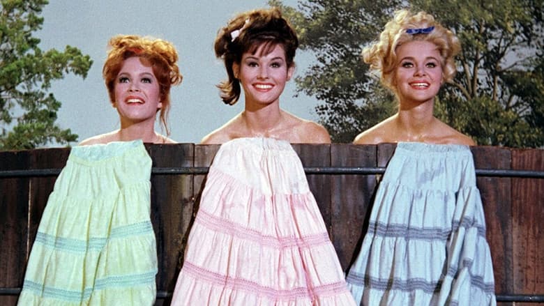 Backdrop from Petticoat Junction