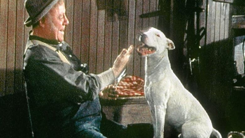 Backdrop from It's a Dog's Life