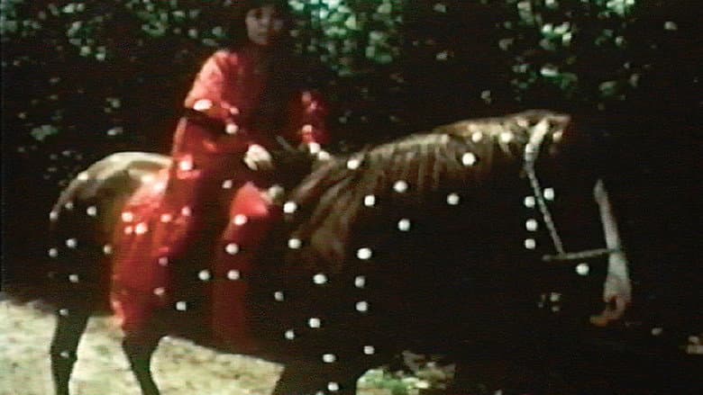 Backdrop from Kusama's Self-Obliteration