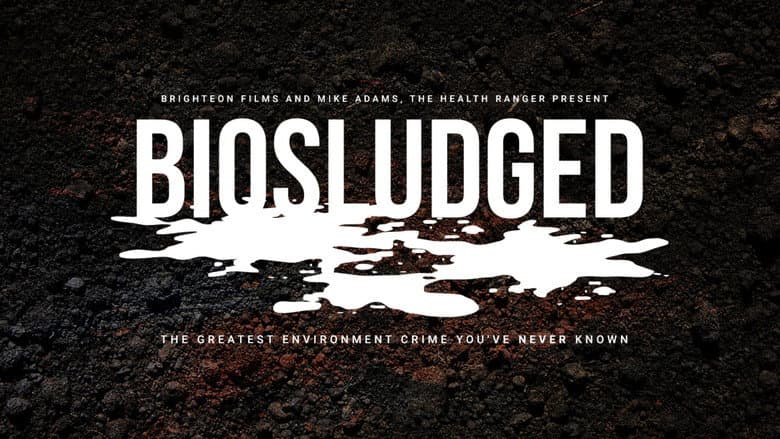 Backdrop from Biosludged