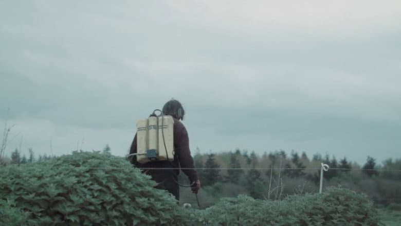 Кадр із фільму «The Lonely Battle of Thomas Reid»