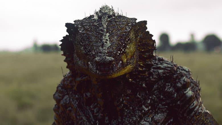 Backdrop from Oats Studios: Volume 1