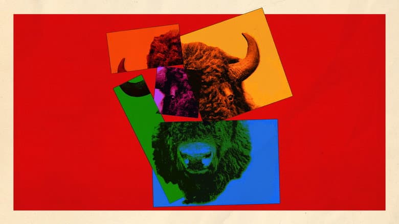 Кадр із фільму «The Buffalo Hunt»